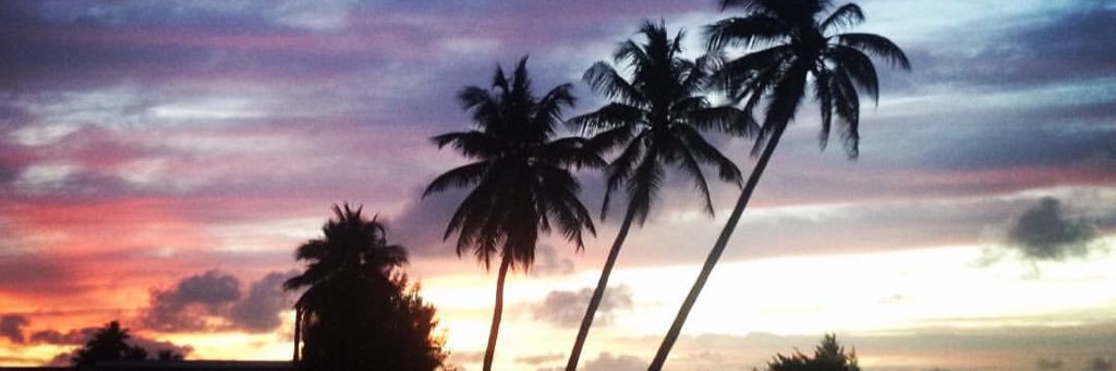taylorcatkinson's profile banner image