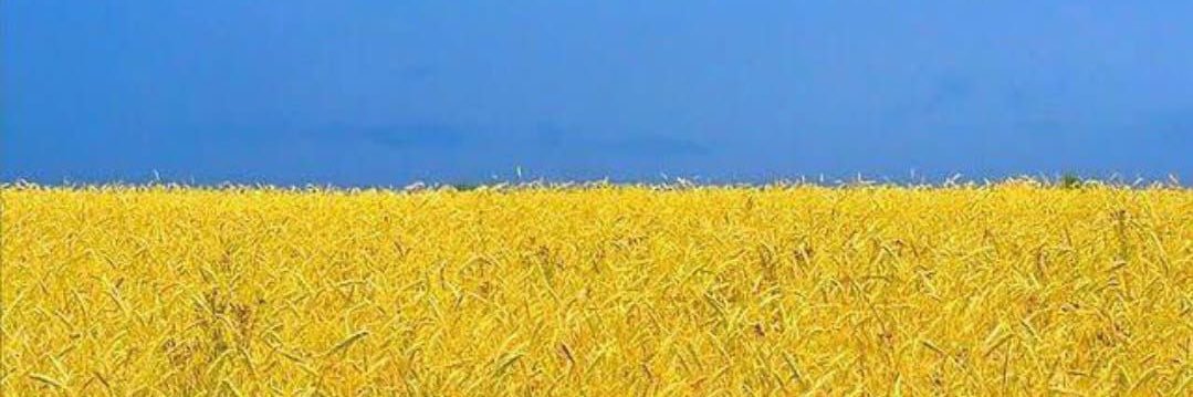 CiroMayen's profile banner image