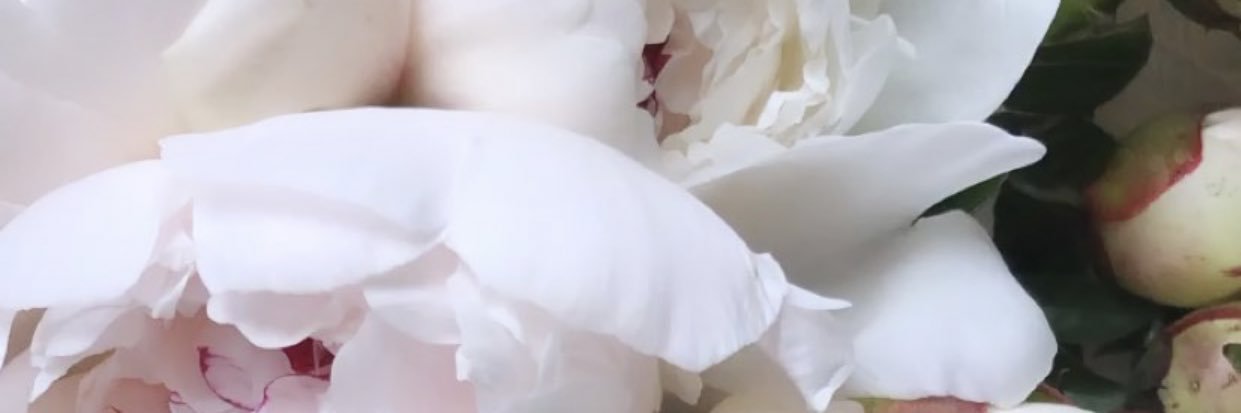Limpide67's profile banner image