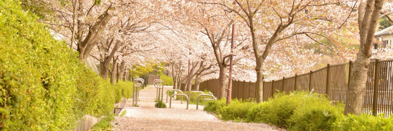 tear_52's profile banner image