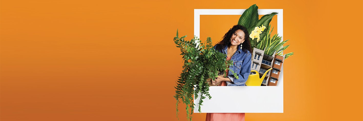 Credit Union SA banner