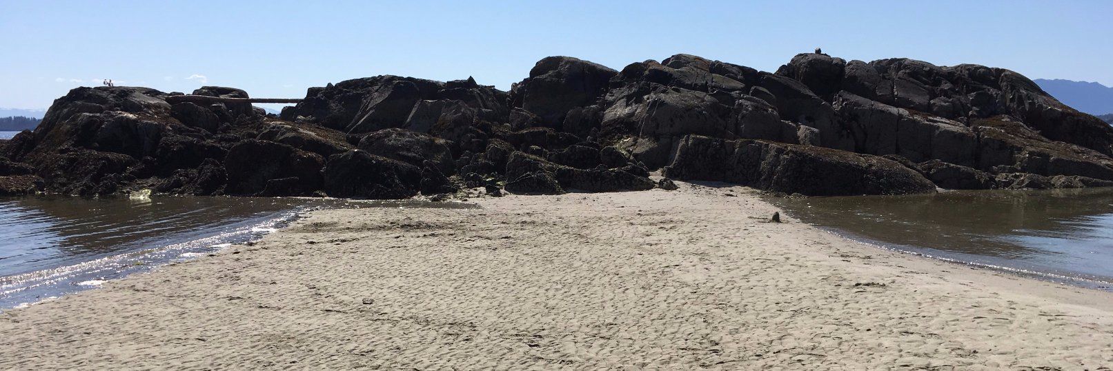 Ben Frederickson banner