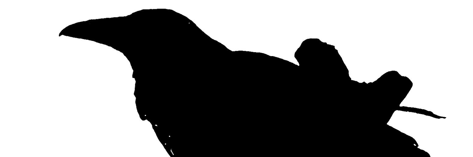 Sha banner