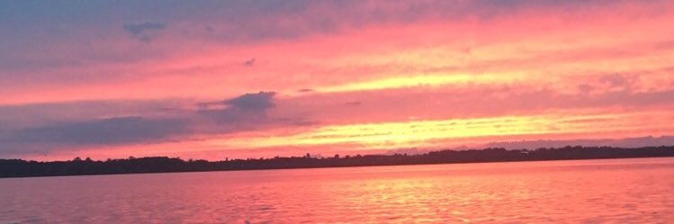 TaylorMallory1's profile banner image
