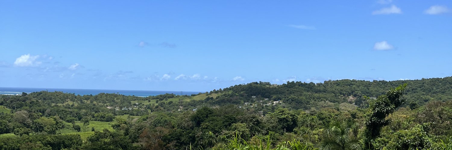 IslandBoyJoc's profile banner image