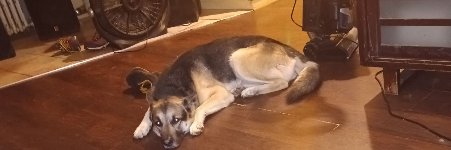 Tyrone mack monkey 🐒 💢 banner