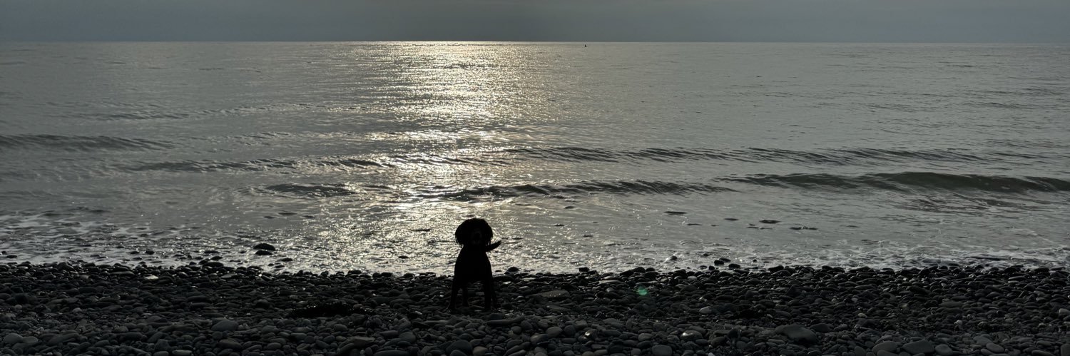 livcainex's profile banner image