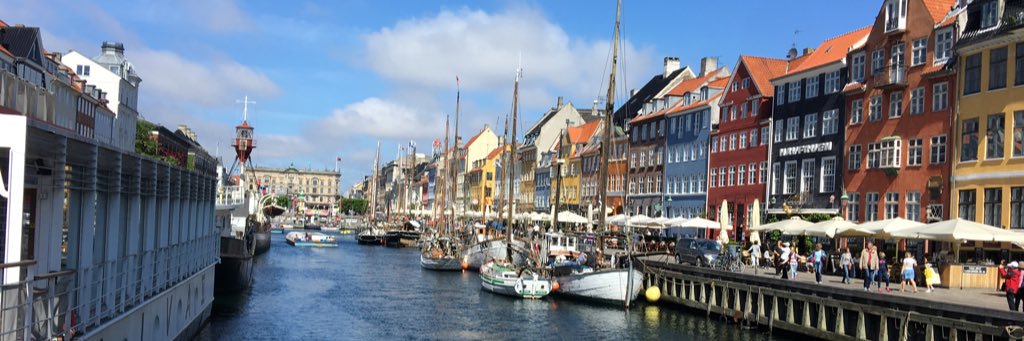 meredith davis banner