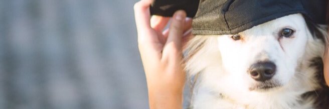Meganslie's profile banner image