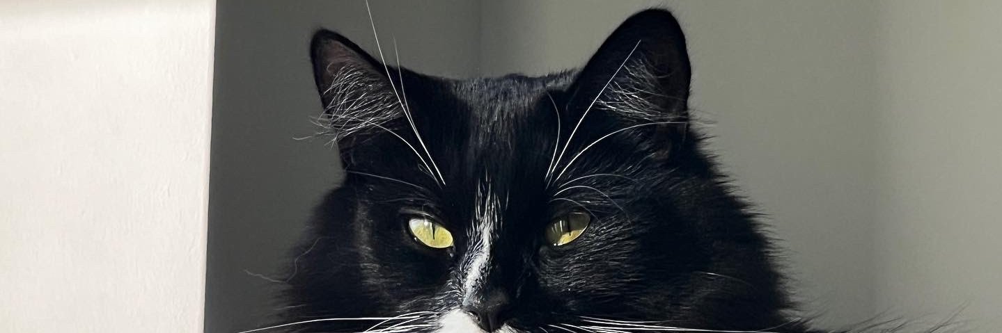 11SGB's profile banner image