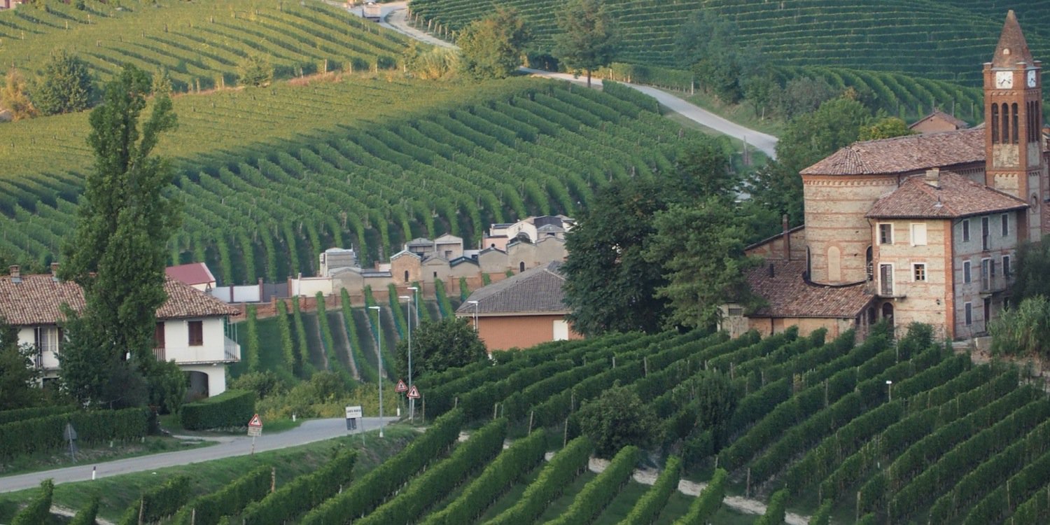 wineswap's profile banner image