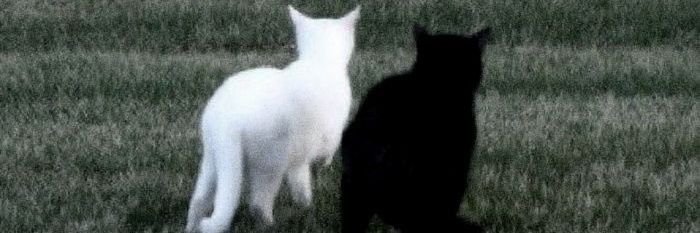 Kunosa Tjandranegara banner