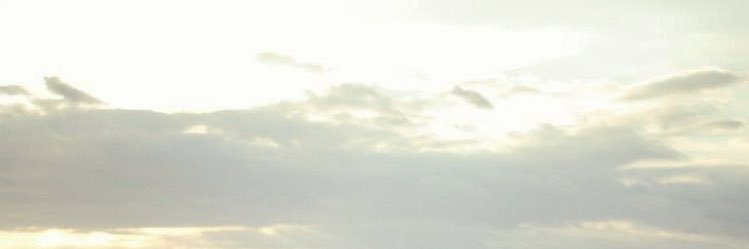 LiveLoveLeem_'s profile banner image