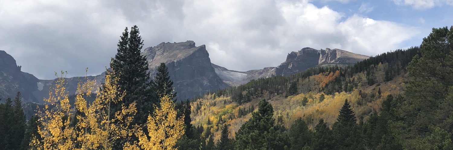 BaileyMedearis's profile banner image