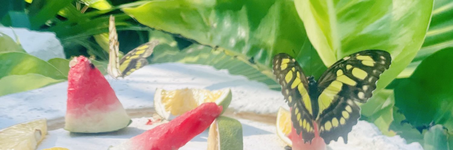 wowitsizabel's profile banner image