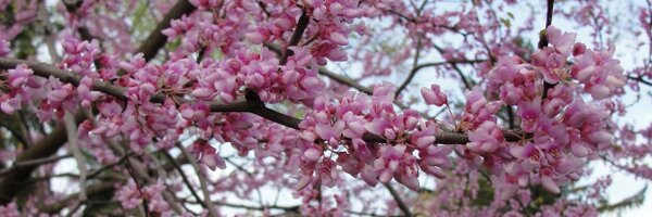 jbzivko Profile Banner