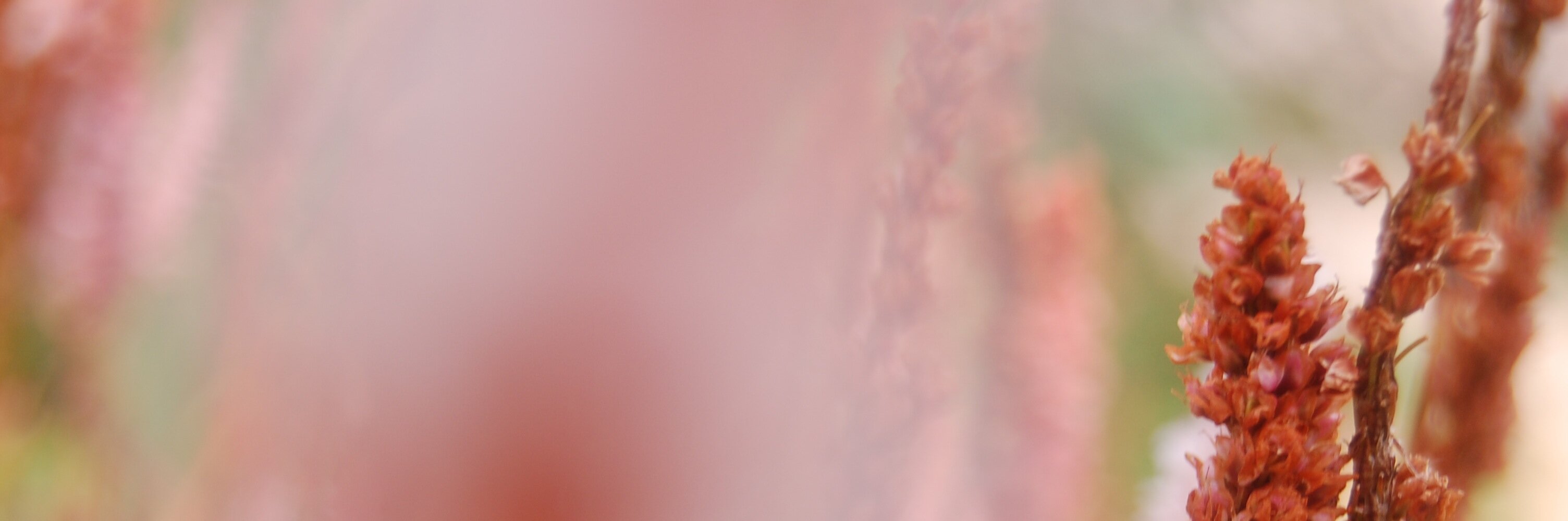 Cmcuesta's profile banner image