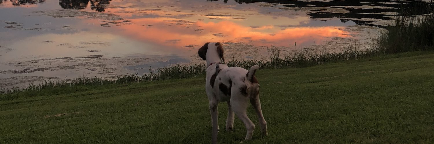 Henry_Cox20's profile banner image
