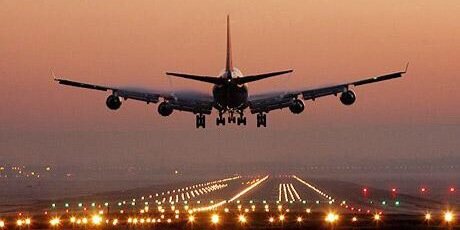 Tony The Fish banner