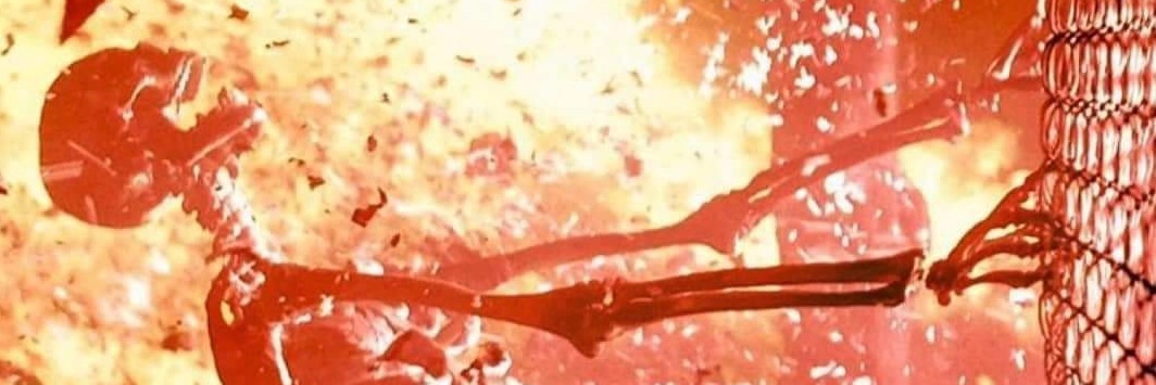 RedFoxHeart's profile banner image