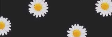 Doraajorge's profile banner image