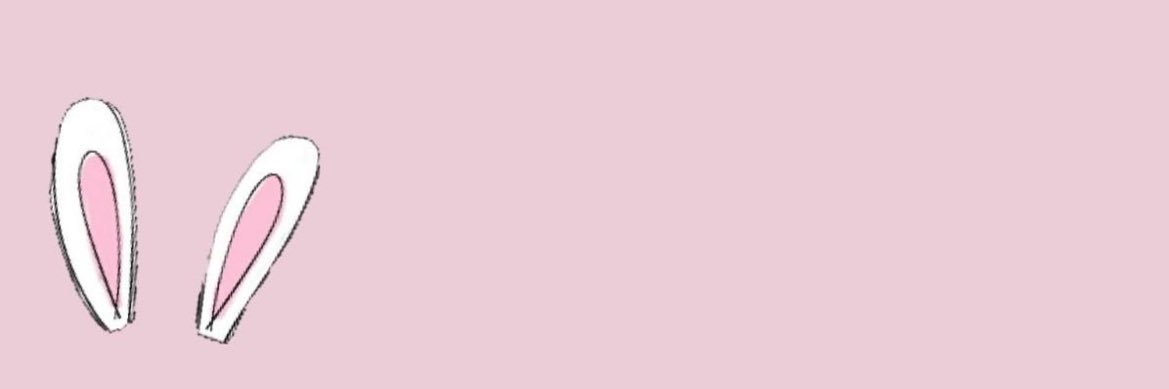 piiabunny's profile banner image