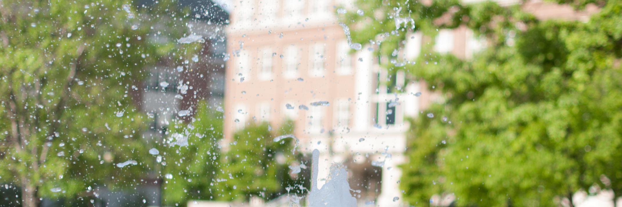 ud_languages's profile banner image
