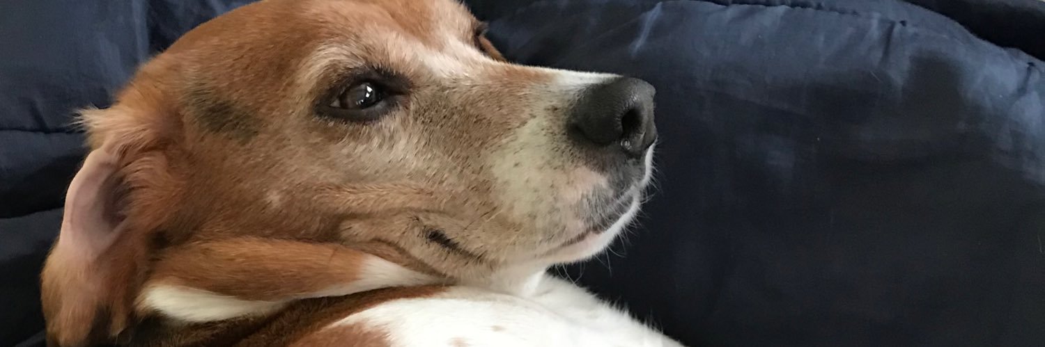 Vance444's profile banner image
