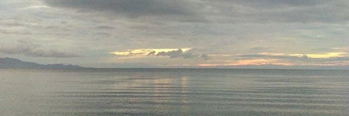 blaynechester's profile banner image
