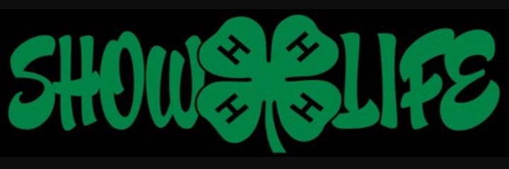 MorganS2019's profile banner image