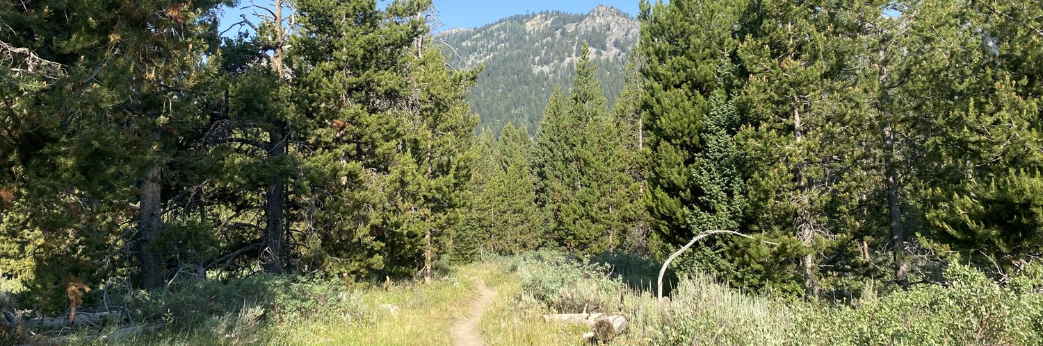 𝔏𝔬𝔯𝔡 𝔬𝔣 𝔈𝔣𝔣𝔦𝔠𝔦𝔢𝔫𝔠𝔶 banner