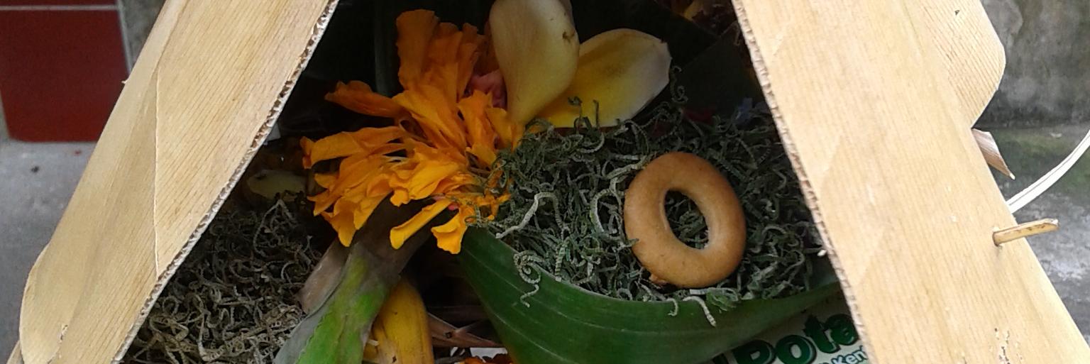 IndoinBali's profile banner image