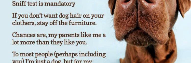 crazyaboutdogsc's profile banner image