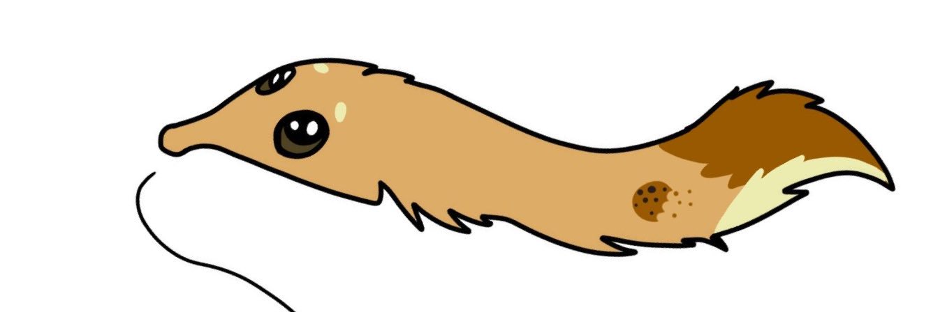 Mocha banner
