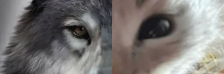 twinksintimes's profile banner image