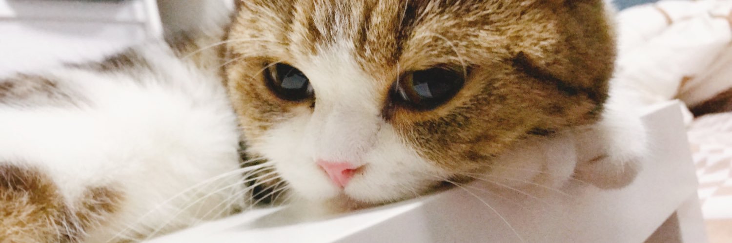 Pa_Pa ปาป้า(●´ω｀●) banner