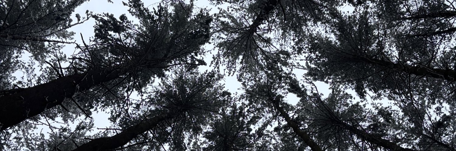 graceedu4's profile banner image
