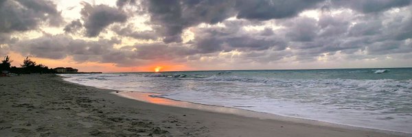 TheKTGinaMeow Profile Banner