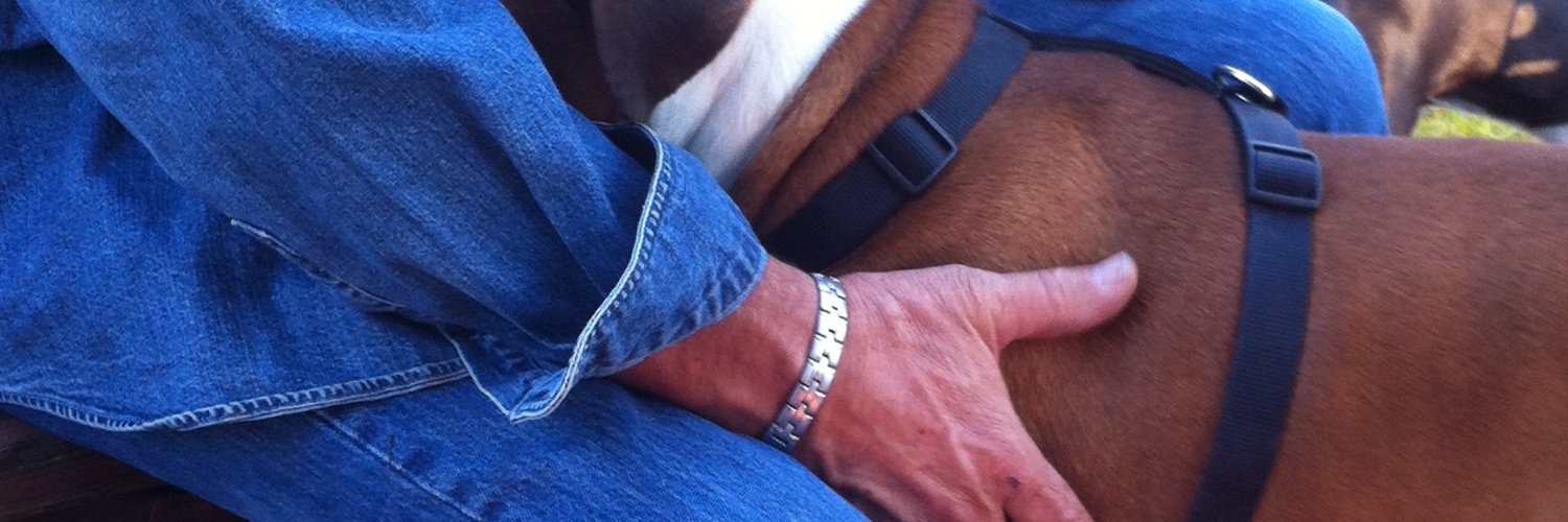 jlrodden's profile banner image