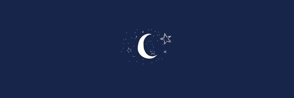 elmonicas's profile banner image