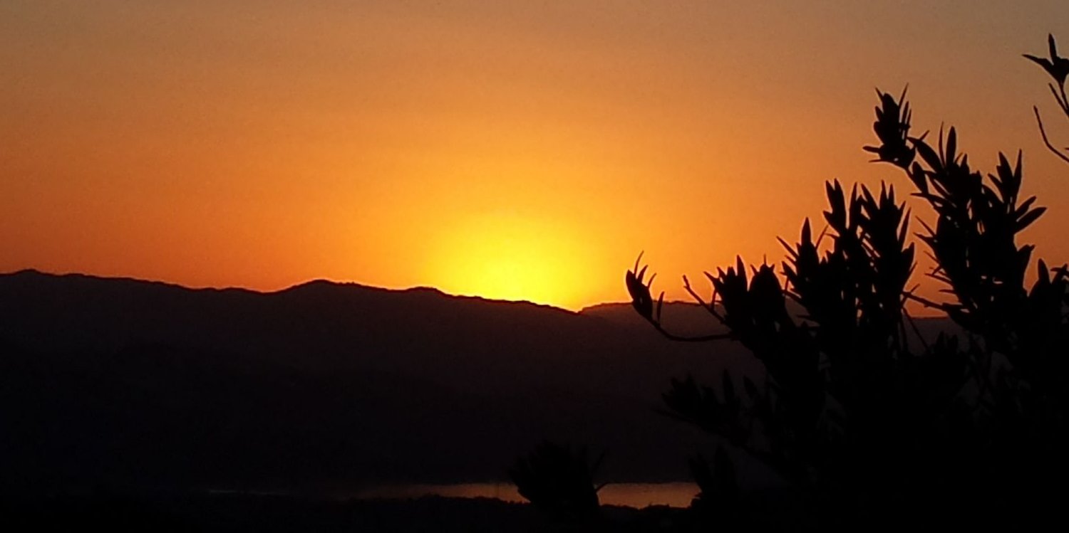 Katharine Norris banner