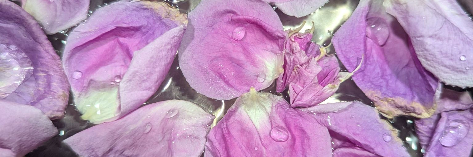 RapturousBeautY's profile banner image