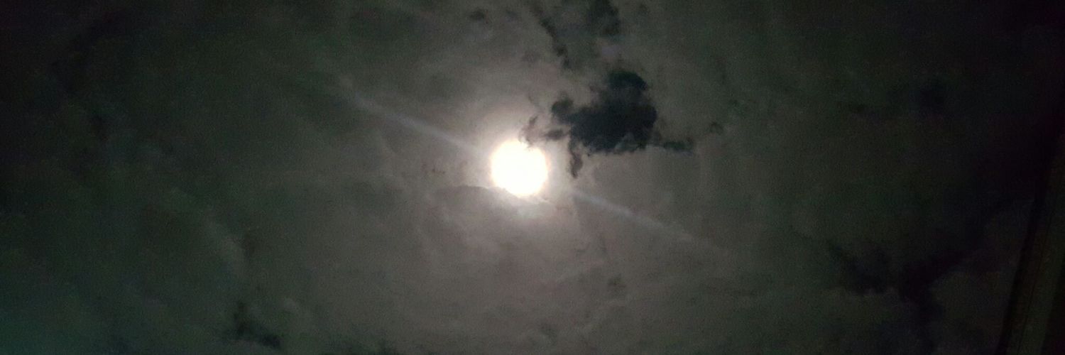 MsVynetheGoddez's profile banner image