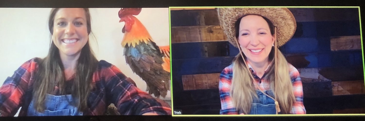 Melissa Triebwasser banner