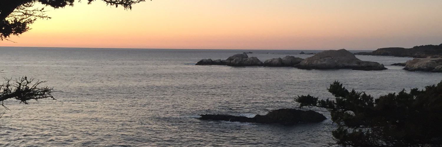 lcm1's profile banner image