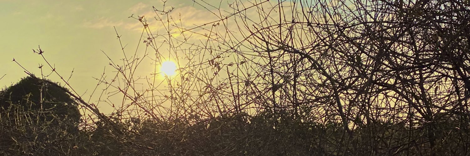 DannRocha's profile banner image
