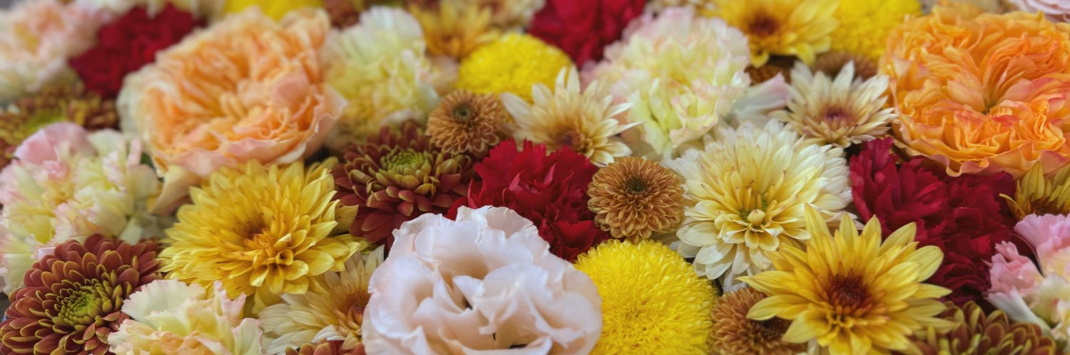 りょーぽこ🔳 banner