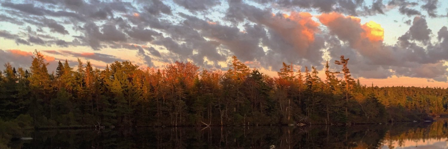 RobertLAMAR's profile banner image