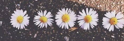 Fernandags__'s profile banner image