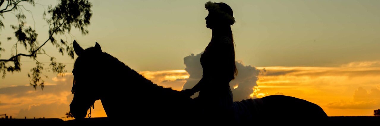 lauracolling7's profile banner image